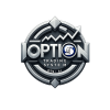 OTS: OPTION TRADING SYSTEM